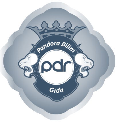 pandora logo
