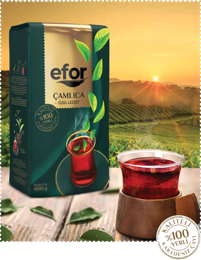&Ccedil;amlıca