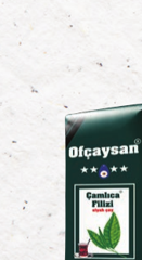 &Ccedil;amlıca Filizi
